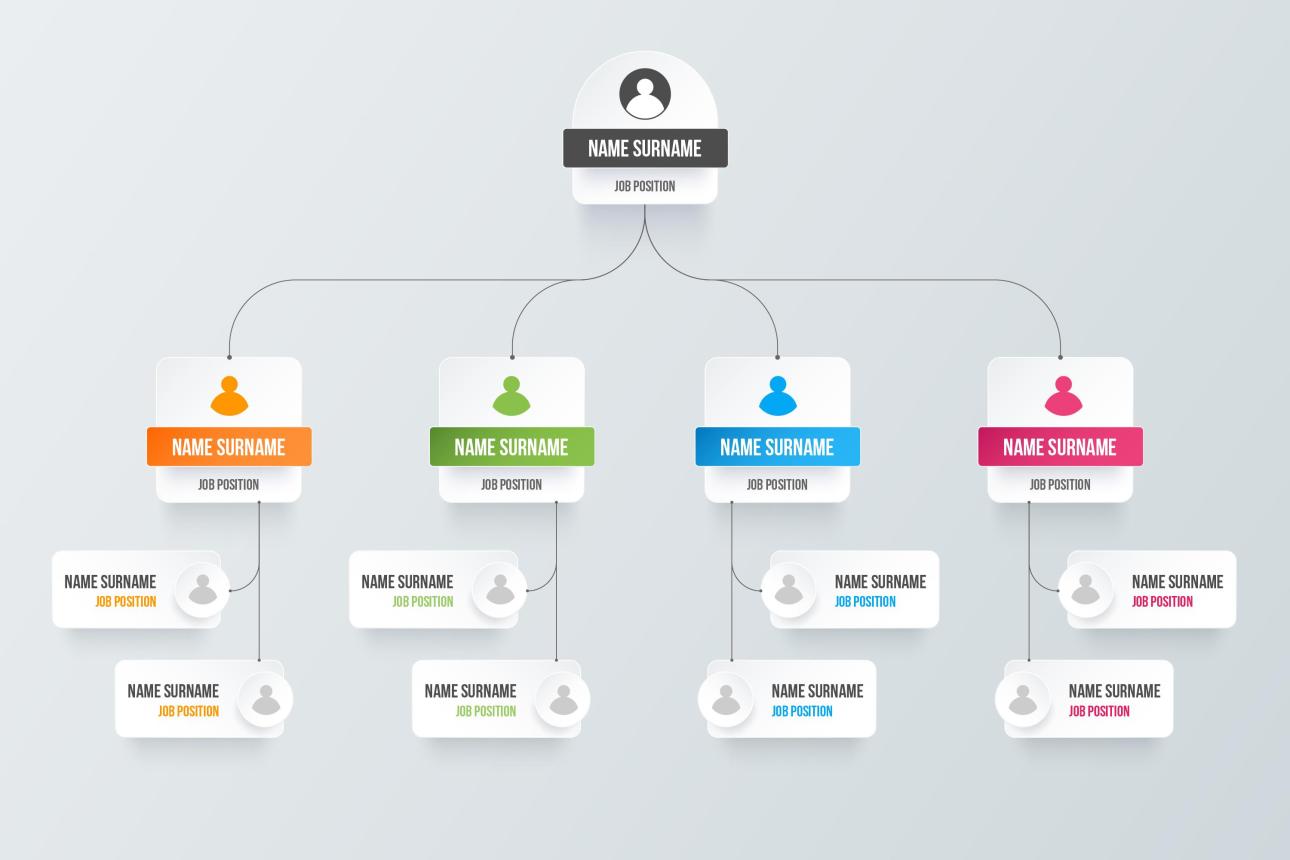 Organizational chart